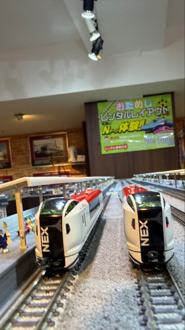 KATO E259系「成田エクスプレス」 基本セット3両＋増結セット3両