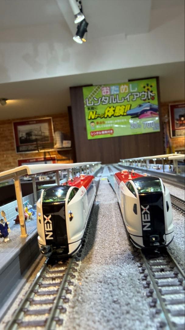 KATO E259系「成田エクスプレス」 基本セット3両＋増結セット3両