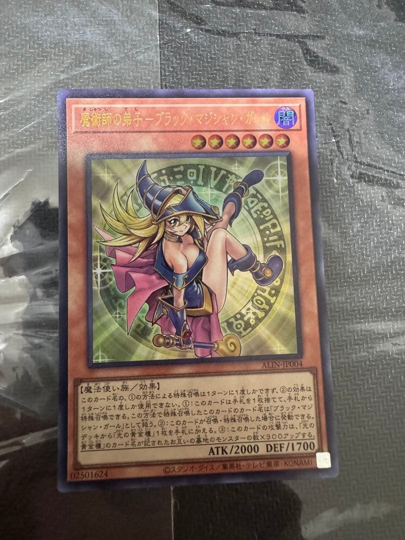 遊戯王　魔術師の弟子ブラック・マジシャン・ガール　光の黄金櫃　光の黄金櫃セット