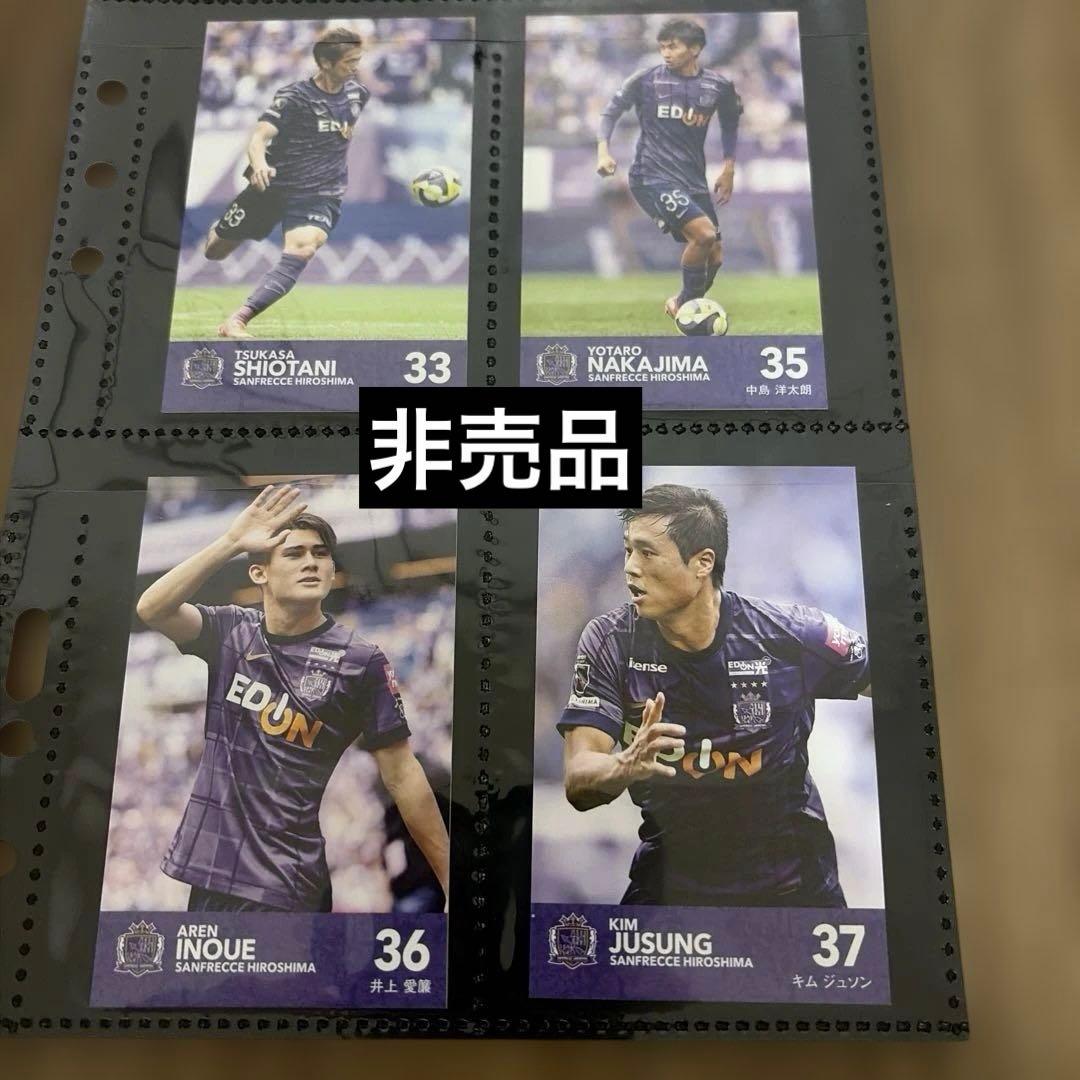 ルヴァンカップ決勝　入場者特典　サンフレッチェ広島 全種カード25枚コンプリート