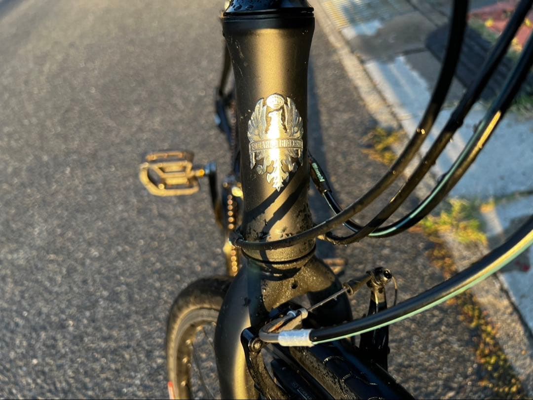 Bianchi （ビアンキ） CAMALEONTE1
