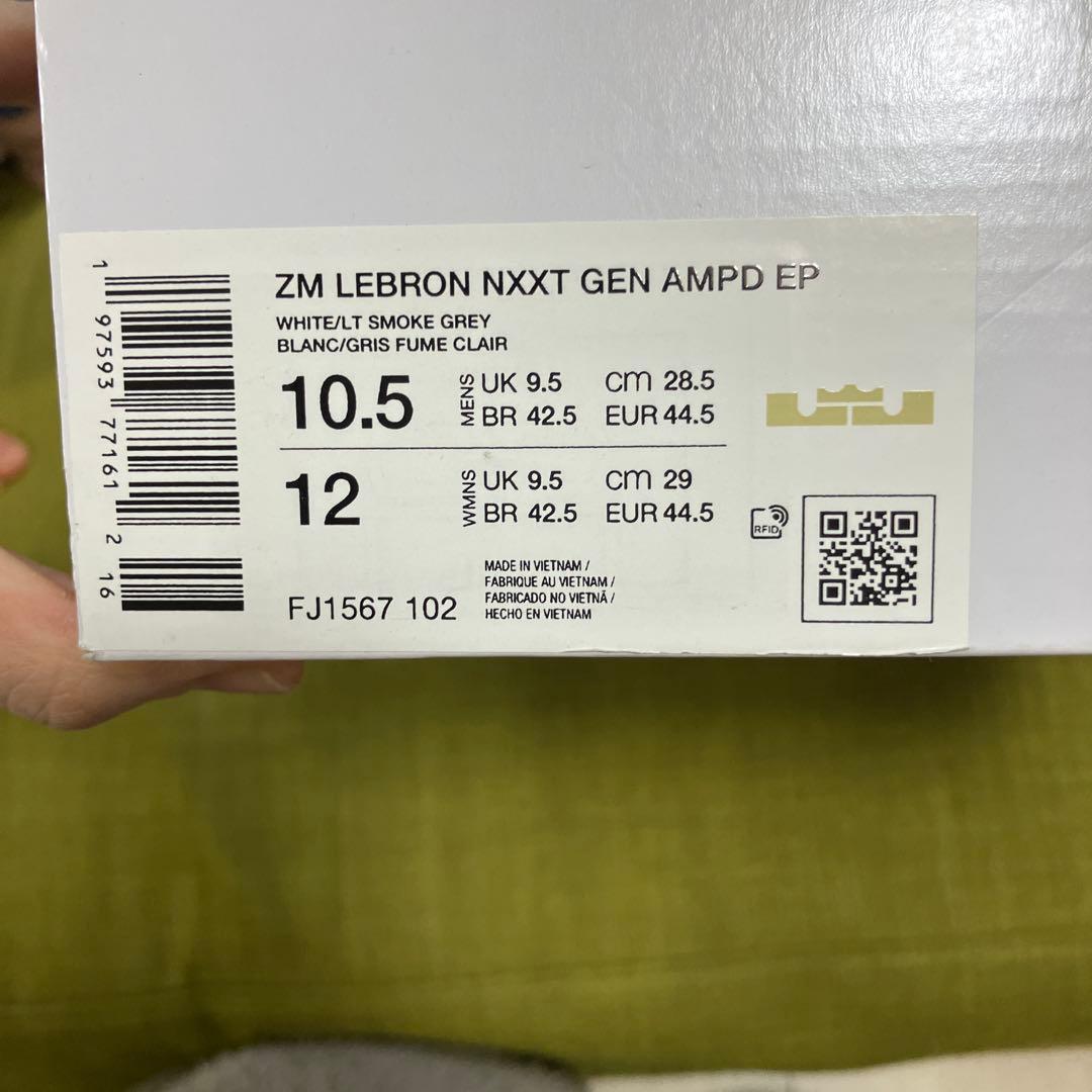 バッシュ　NIKE ナイキ LeBron NXXT
