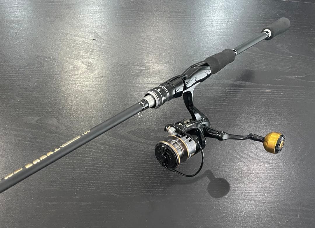 海釣りセット2ピーススピニングロッド&リール・ササメ製投げ仕掛け3セット&ライン