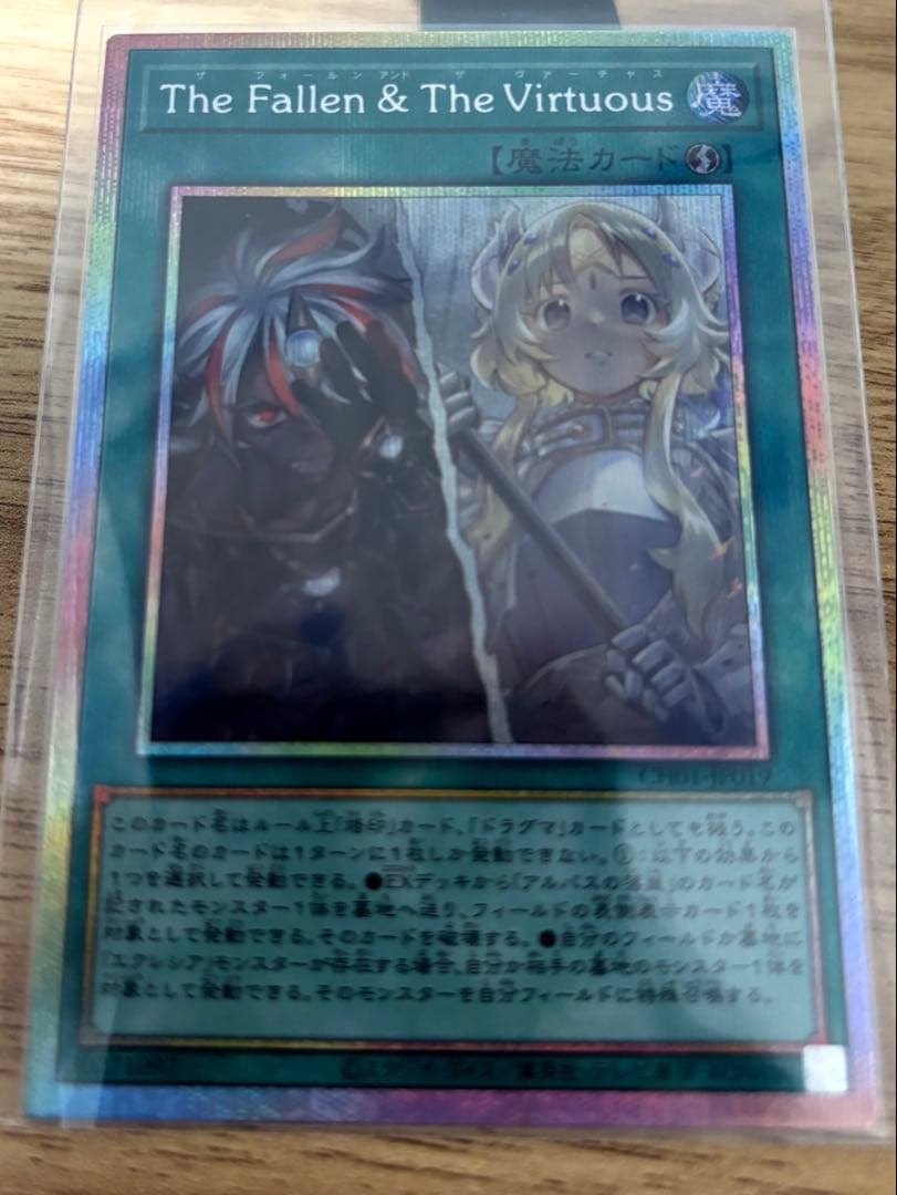 the fallen & the virtuous プリシク　新品未使用品