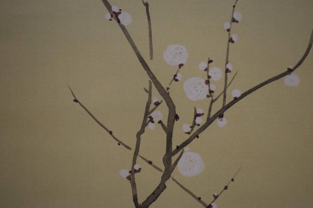 複製/酒井抱一/白梅椿鴬図/工芸/布袋屋掛軸HI-535