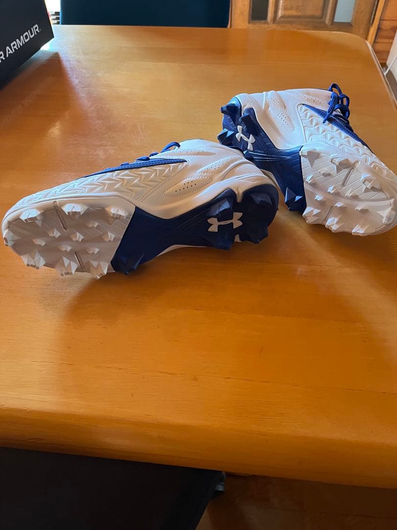 Under Armour DSBL スパイク 青/白