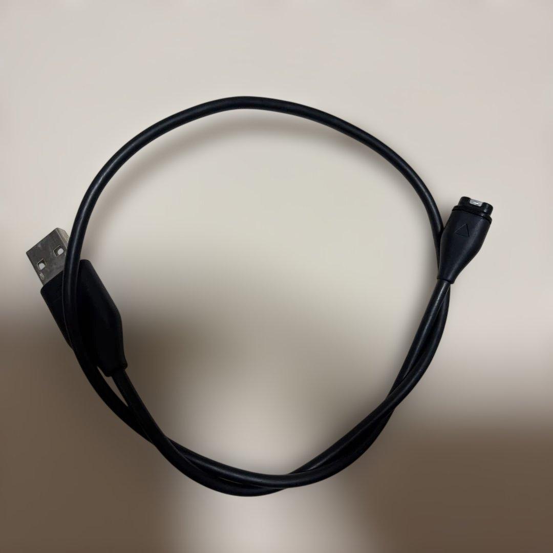 Garmin Approach S12 GPSナビ　ガーミン