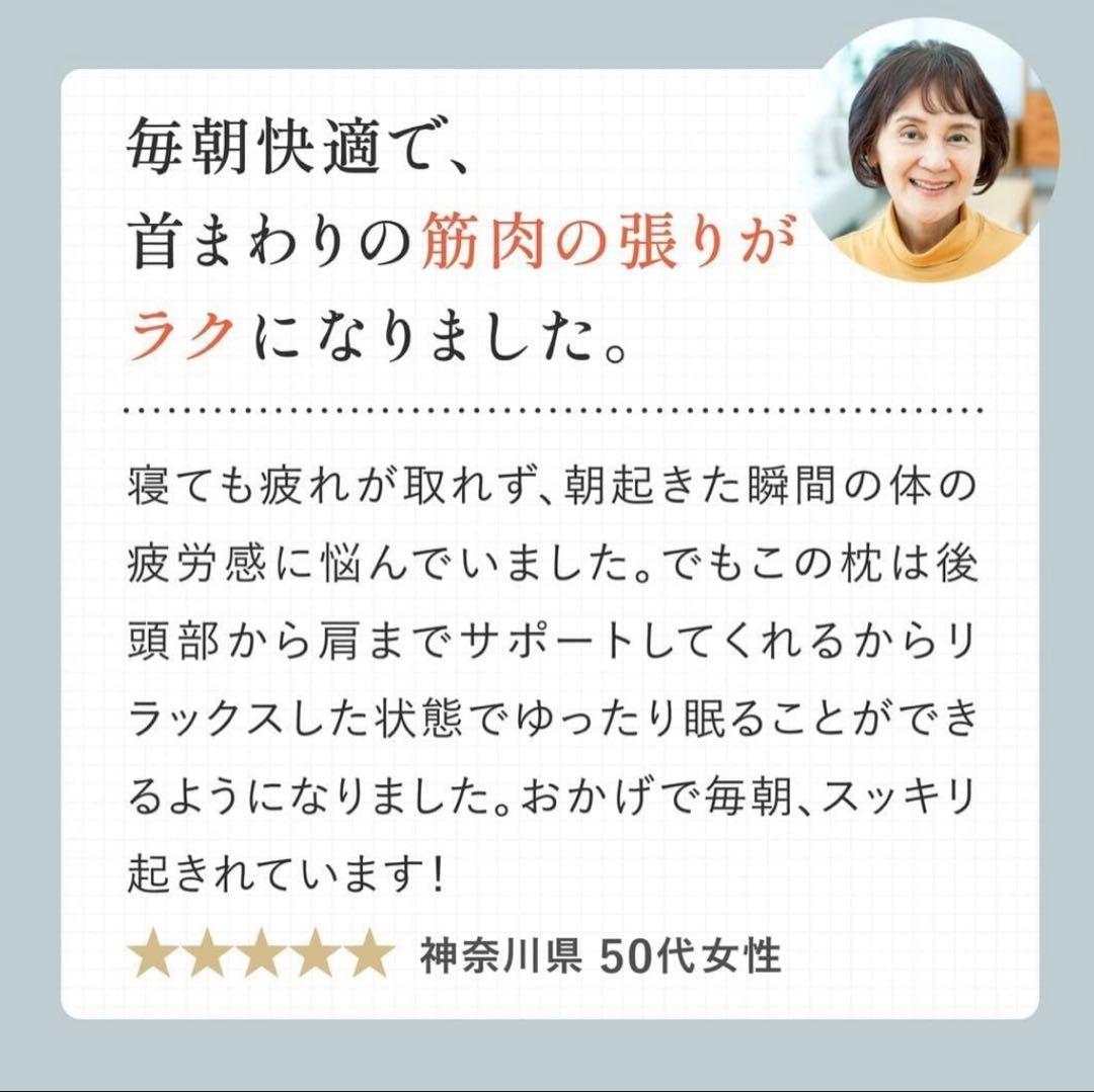 CALQS ダブル枕PLUS クールブルー(冷感素材) 枕 ピロー