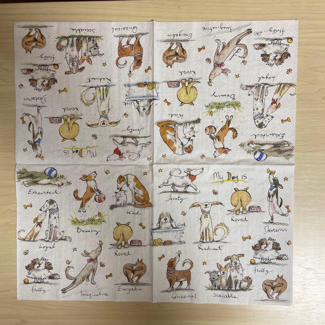 アニタ　ペーパーナプキン ランチ カクテル ポケット 各サイズ表記 ご確認下さい