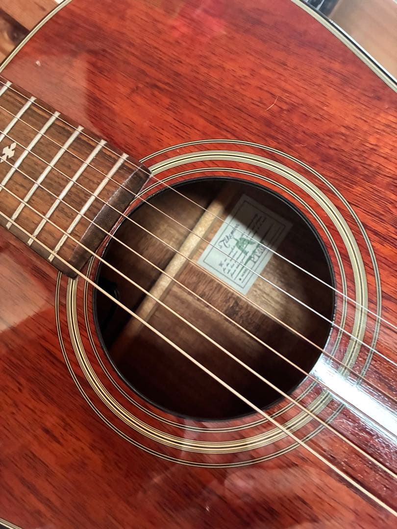 Takamine エレアコPT407