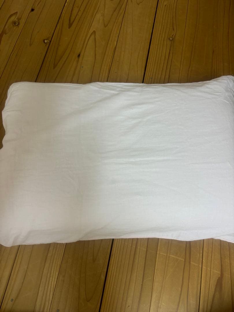 エアウィーヴ　枕　佐伯チズ　モデル