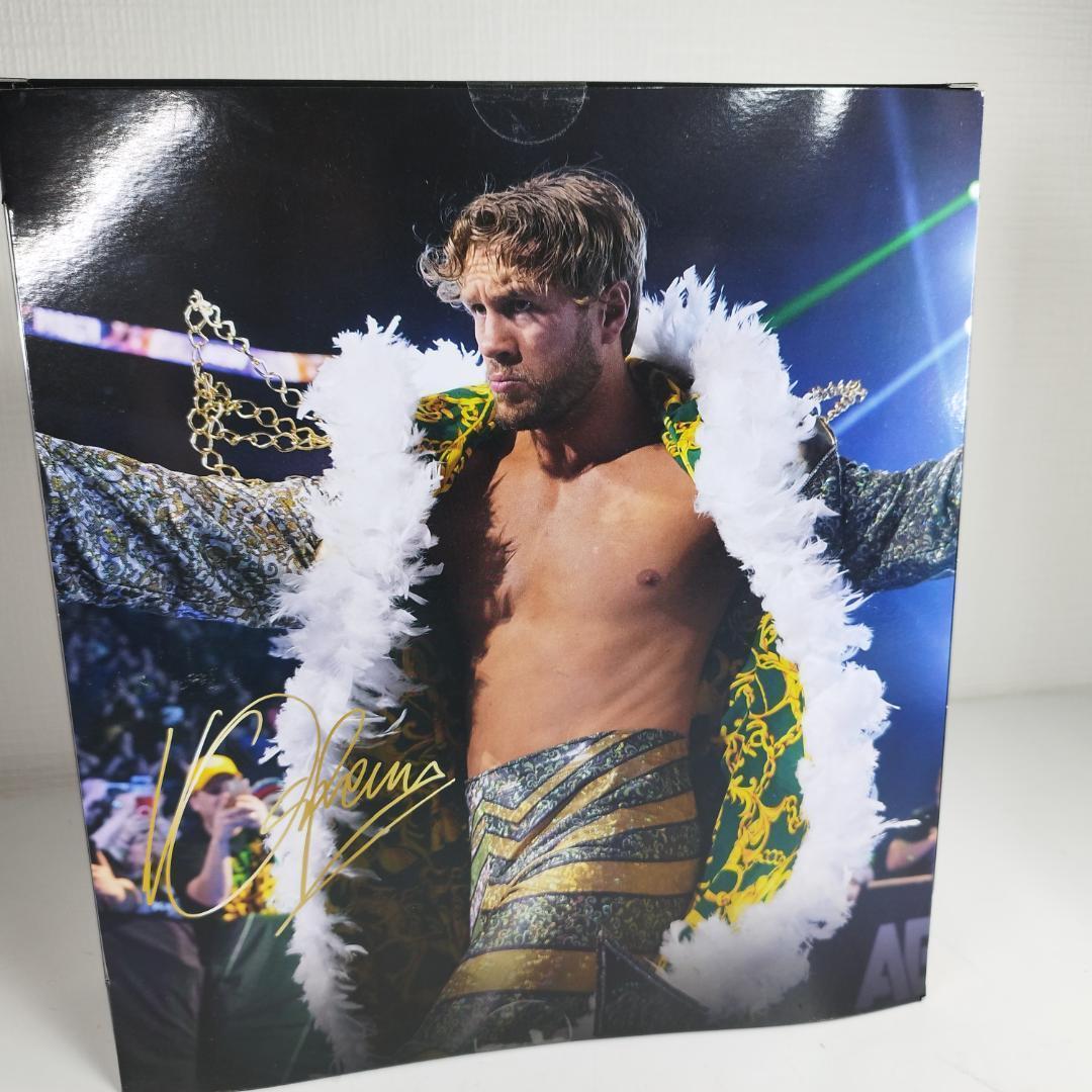 ウィルオスプレイ フィギュア 海外 新品 日本未発売 格闘技 WWE IA84