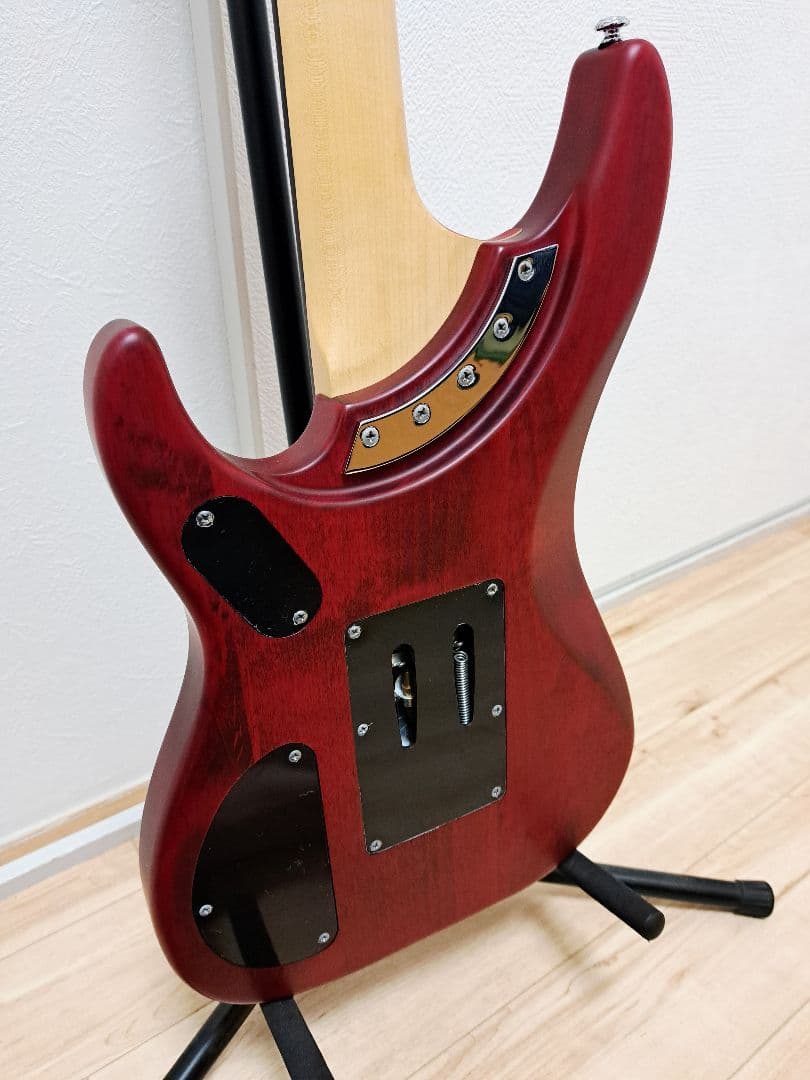 Washburn N24 ALDER / PADAUK 【状態良し】