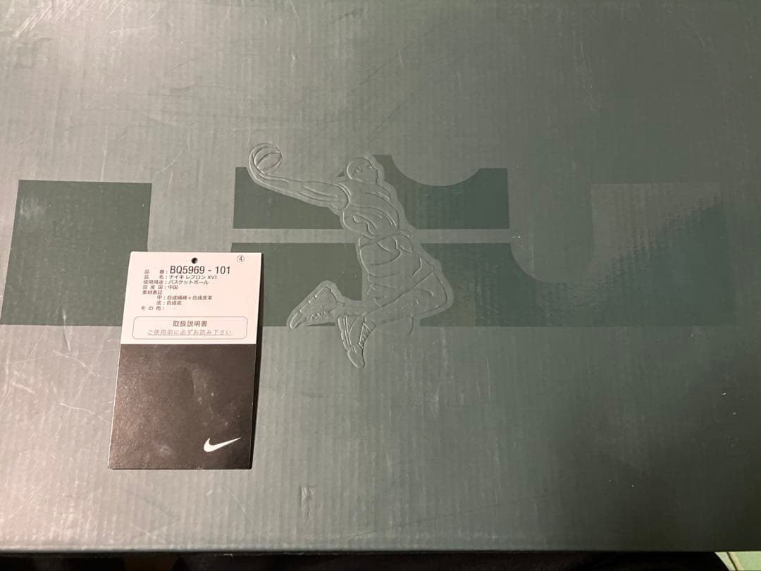 シューズ(男性用) LEBRON XVI