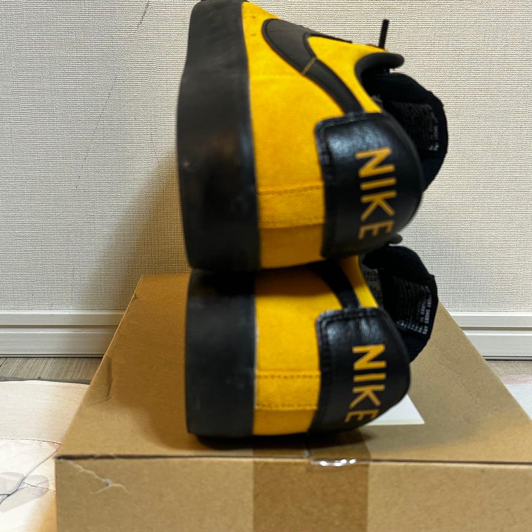 スケートボード Nike SB Blazer Low GT 28cm