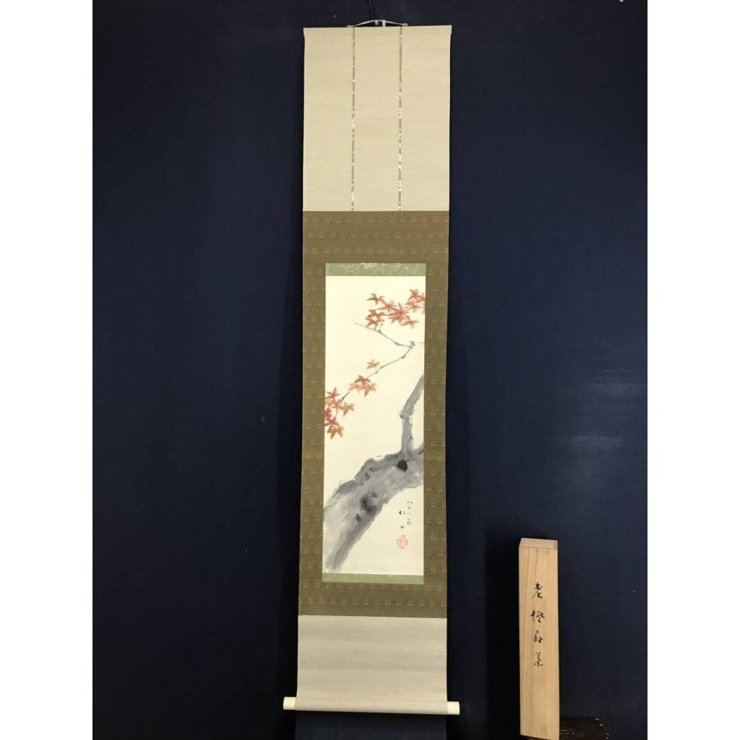 真作/藤井松山/老楓紅葉/秋の掛軸/掛軸/名家伝来/AK-678