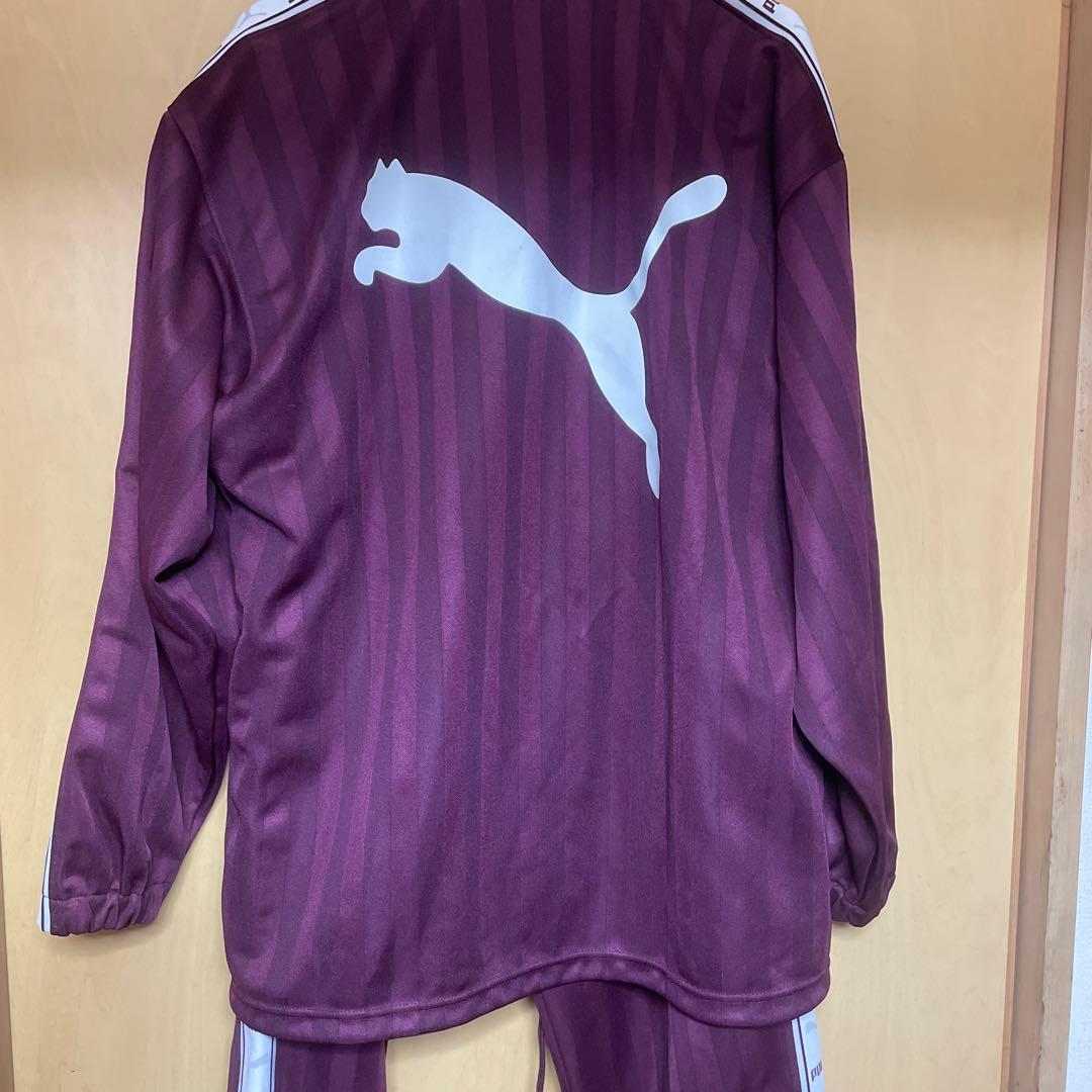 PUMA バーガンディ ジャージ上下セット