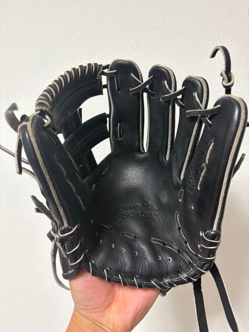 ワールドペガサス　内野用