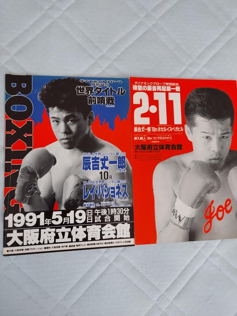 辰吉丈一郎VS レイパショネス・ホセR ベガヒル　ボクシングパンフレット２冊