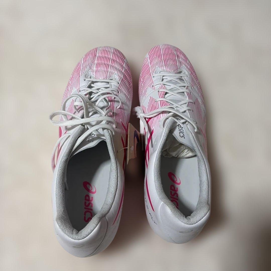 アシックス　DS LIGHT X-FLY PRO2 LIMITED 29.0㌢