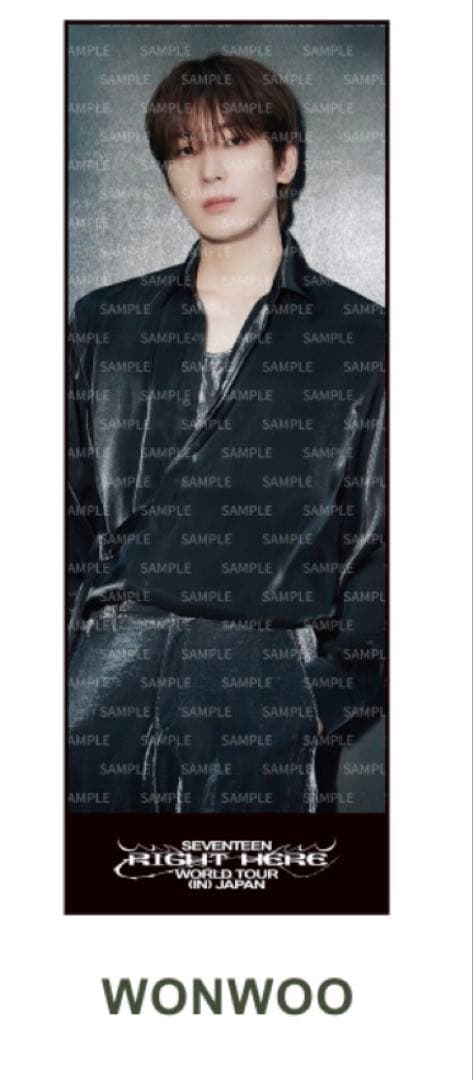 【新品未使用】 SEVENTEEN BIG Photo Towelウォヌ