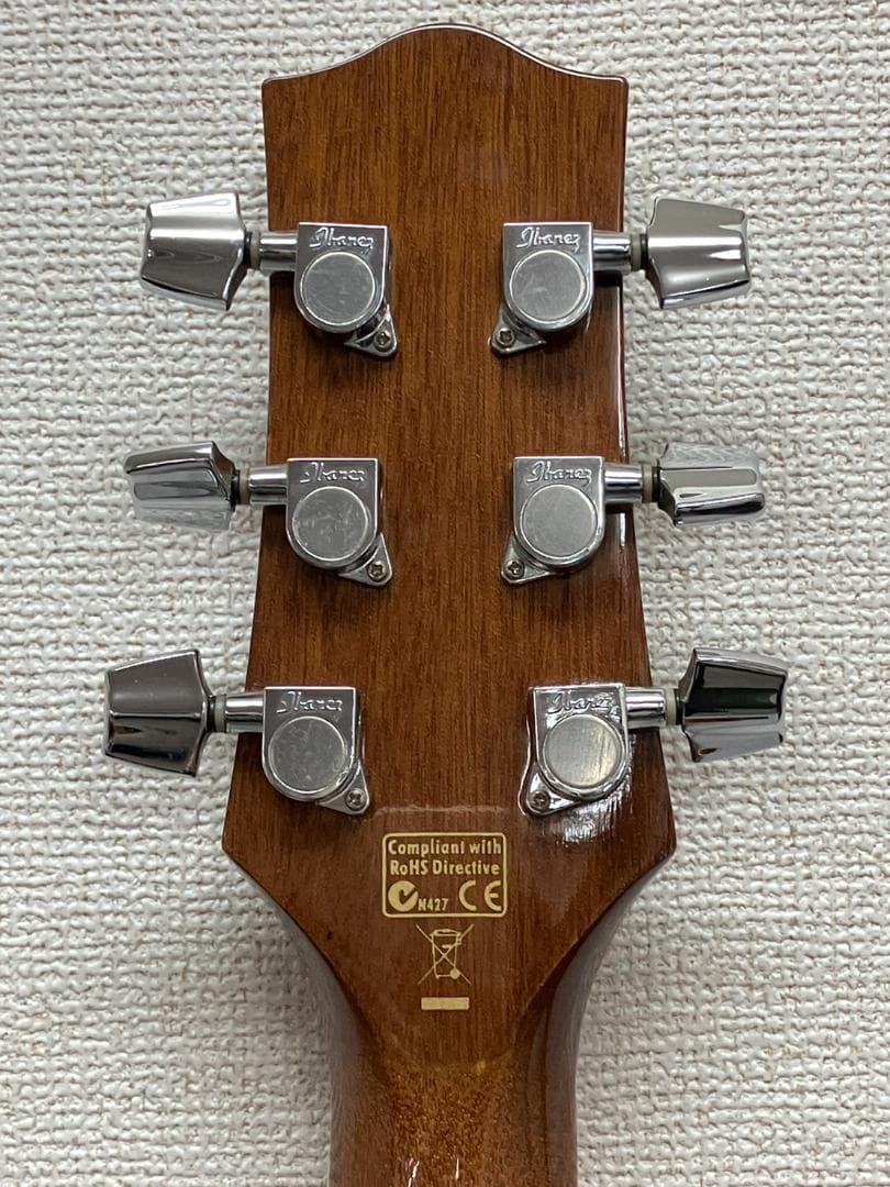 希少 アイバニーズ エレアコ EW20K OENT1201 M0211a4