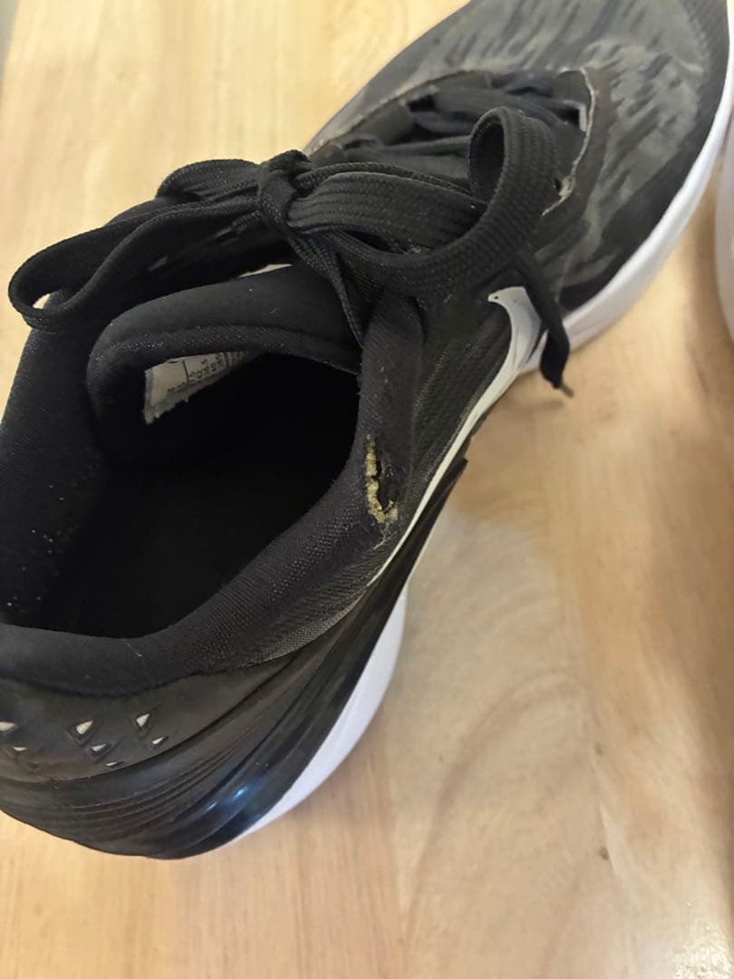 Nike zoom gt cut2 バスケットボール