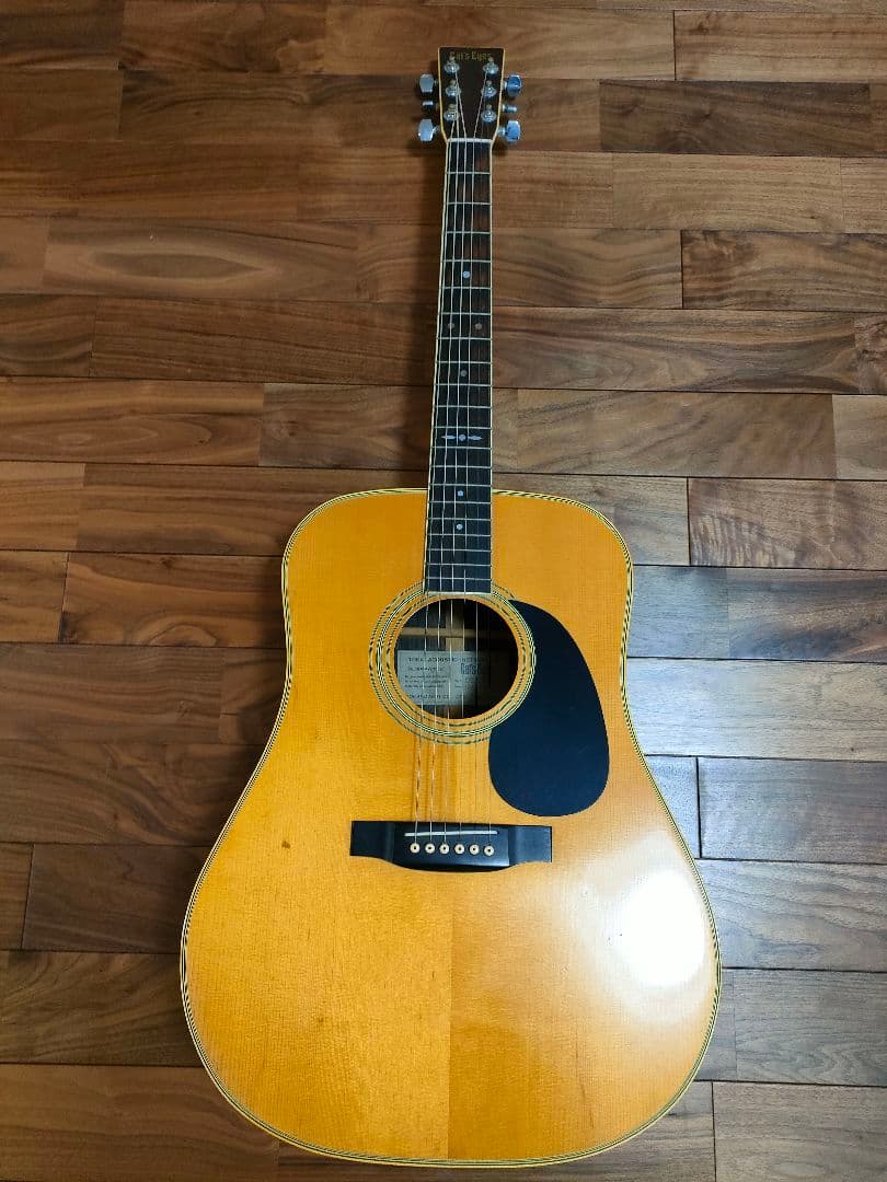 【ケース付き】アコースティックギター Cat's Eyes CE-250