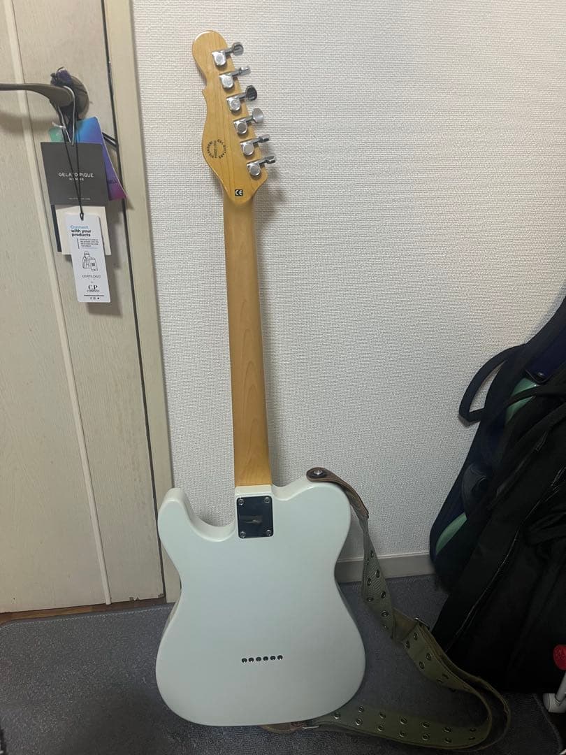 ギター G&L asat bluesboy