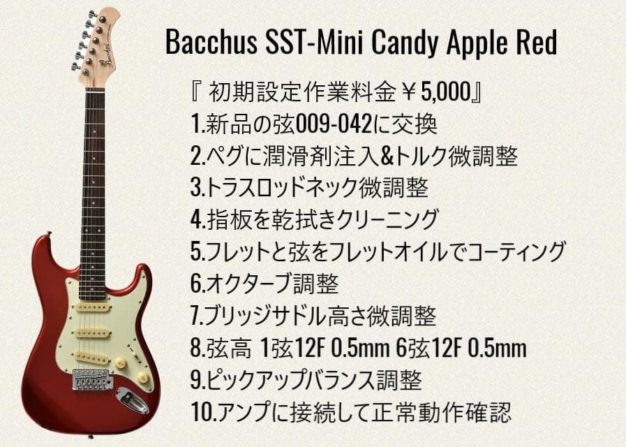 ✨新品✨バッカス 楽器店オリジナル ミニサイズギター