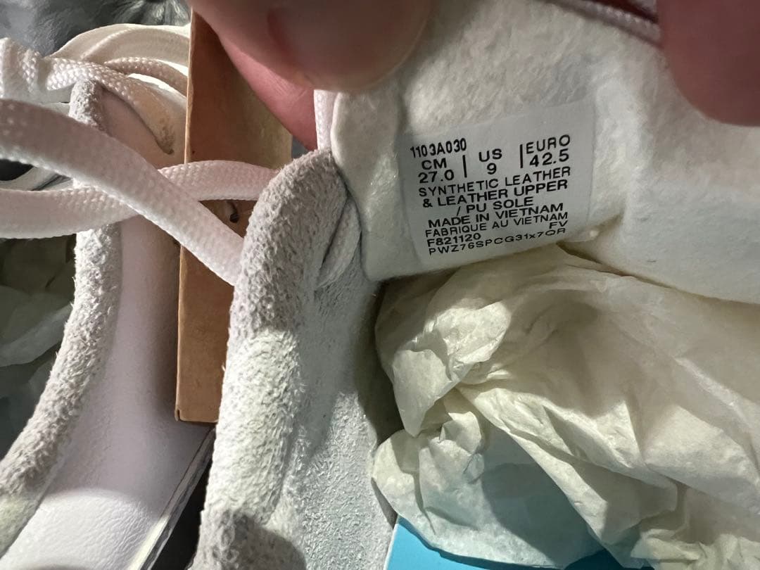 ASICS DS LIGHT AG L.E. ホワイト/シルバー　27.0