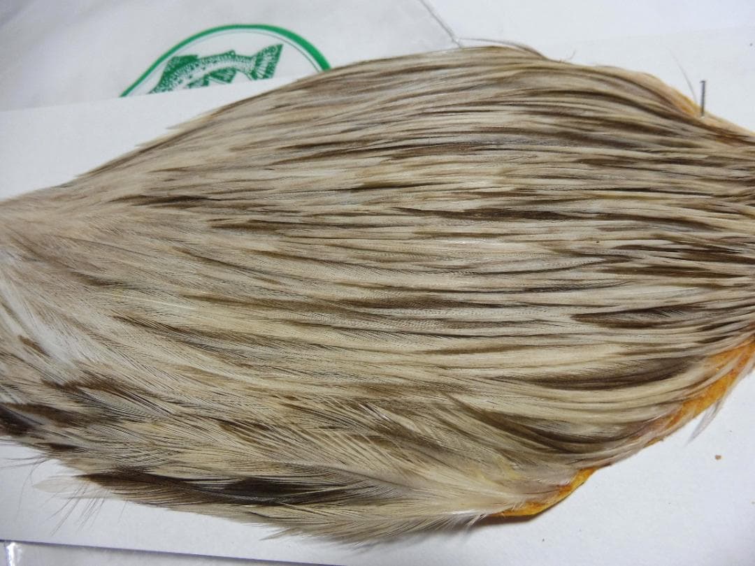 メッツ METZ コックハックルケープ #1 WHITE SPLASHED