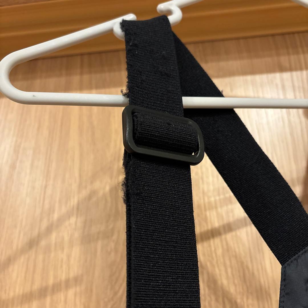ザノースフェイスビブパンツGORE-TEX スノーウェア　ブラック　LL