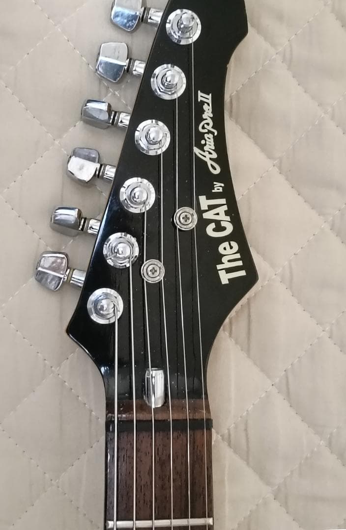 【送込】【稀少】Aria Pro Ⅱ The Cat