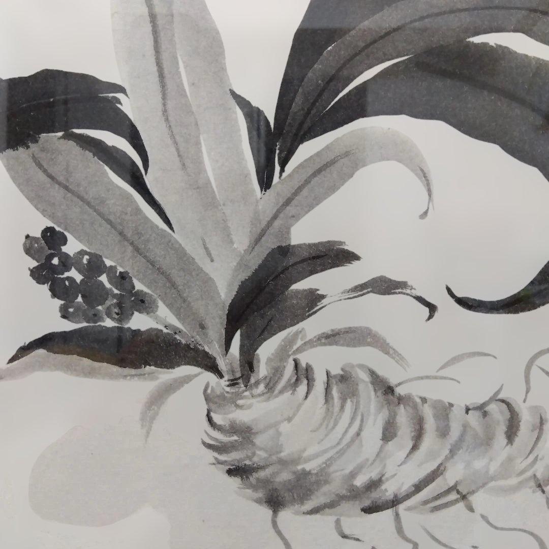 水墨画/手描き/ 万年青/ 木製額縁付き/
