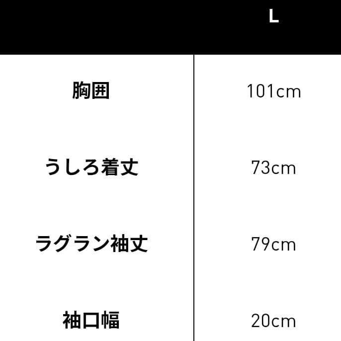 正規品 オーセンティック 日本代表 2026 アウェイ 長袖 JZ9698 L