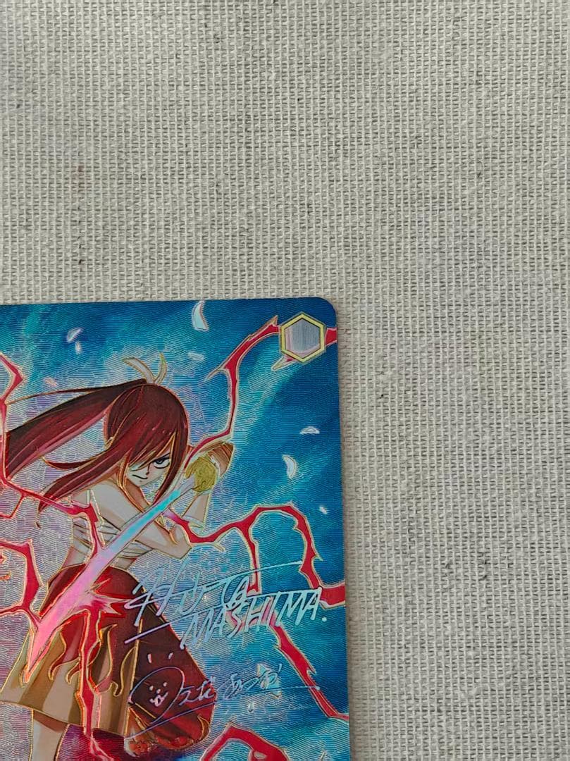 ヴァイスシュヴァルツFAIRYTAIL仲間を守る為の剣エルザSEC
