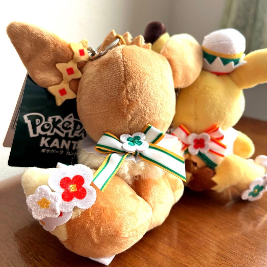 限定　ポケパークカントーPoKePARK KANTO ピカチュウ&イーブイ