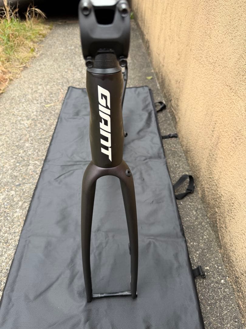 GIANT TCR ADVANCED PRO 1 DISC 2021 フレーム