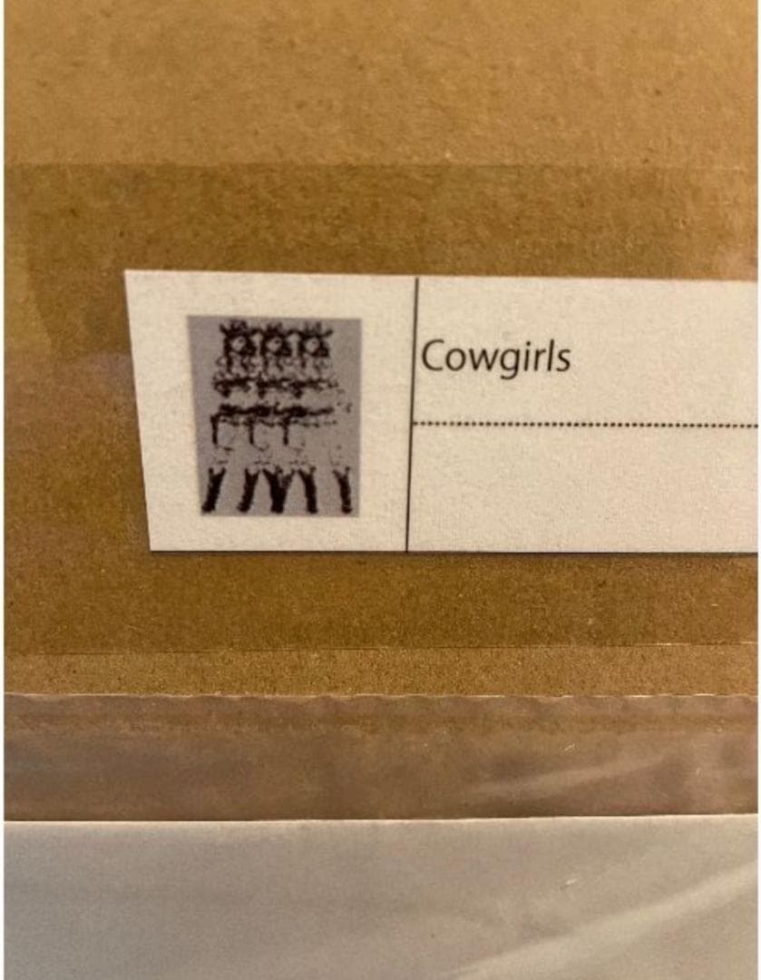 江口寿史 Cowgirls シルクスクリーン 納品書付