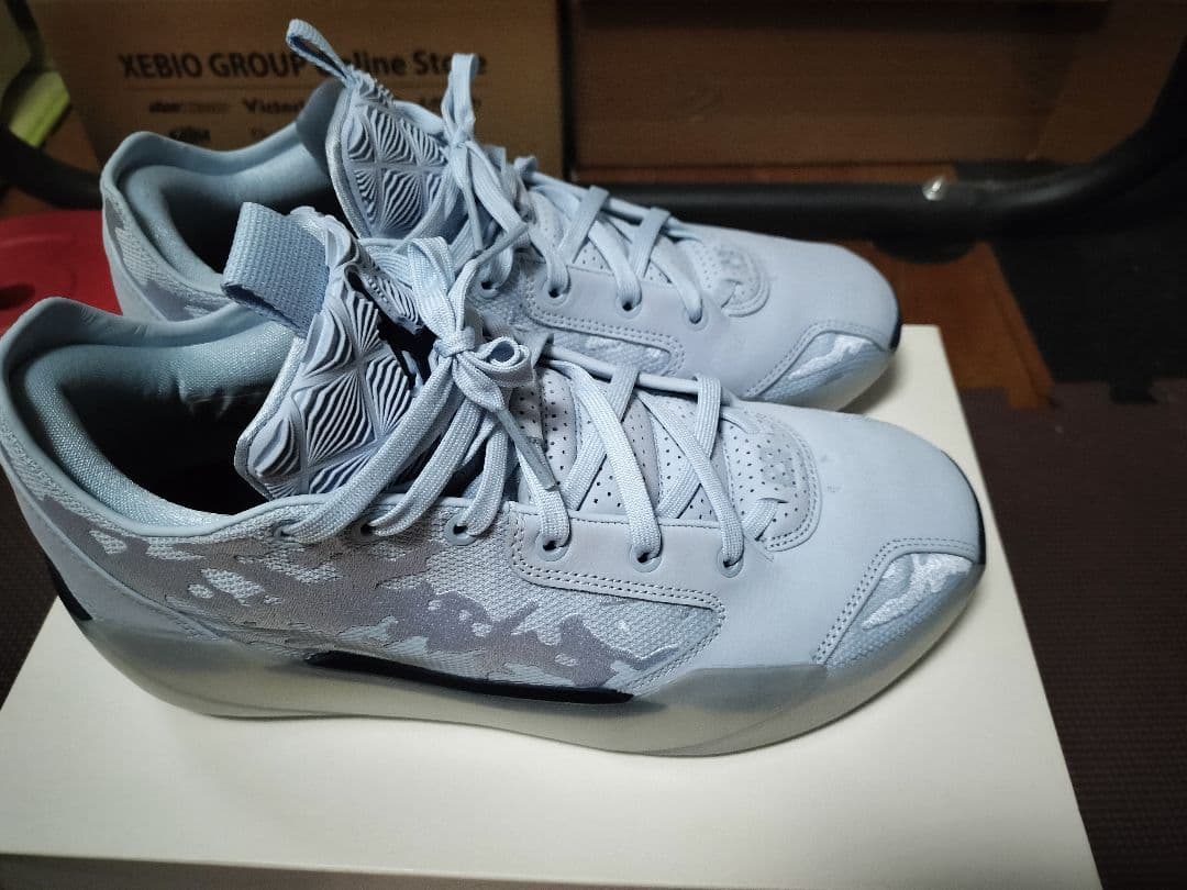 AIR JORDAN TYPE 39 　28cm