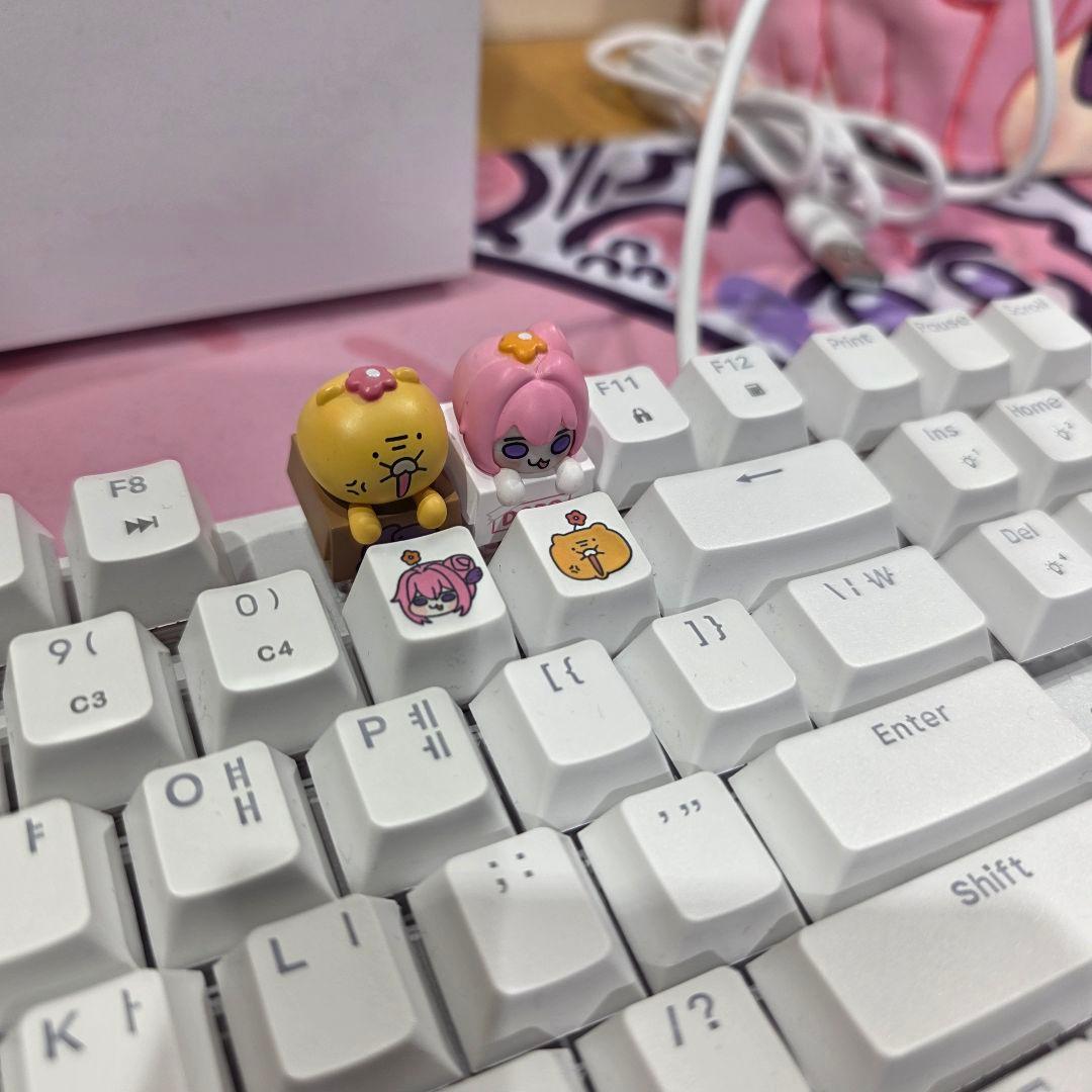 その他 sugar