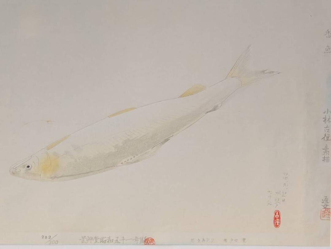 【真作】版画　小林古径　木版画　香魚　静謐な美を描いた復刻版画　X22