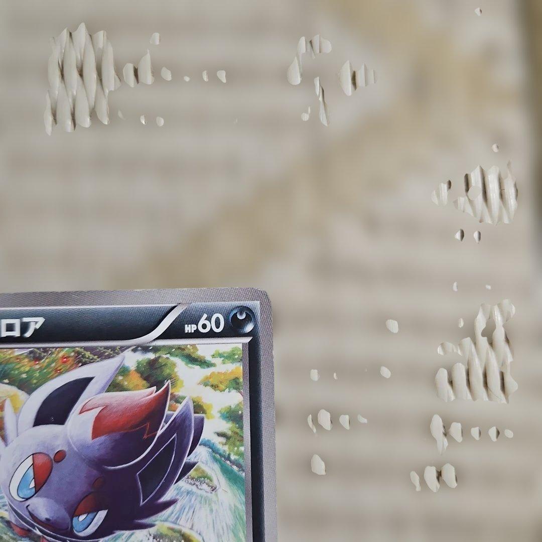 ポケモンカードゲーム ゾロア プロモ 021/BW-P