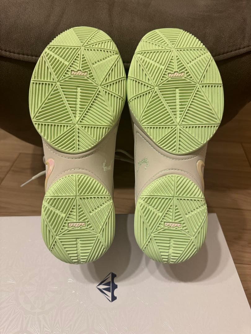 【極美品・着用10分のみ】NIKE レブロン22 28.0cm 箱付き
