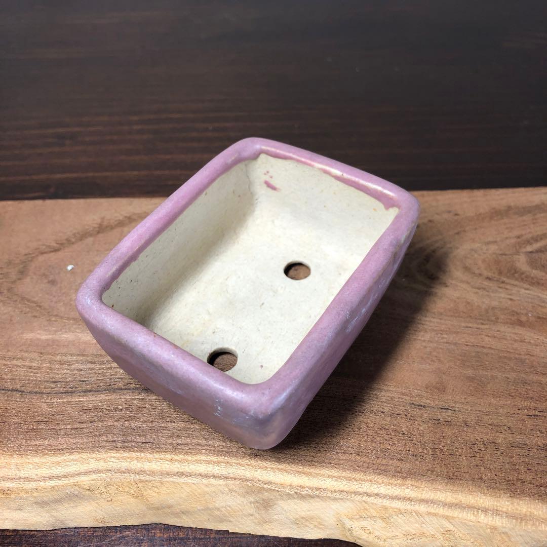 【名品 時代物】岡谷是心　展示会出品作品　　小品盆栽鉢　桃紅釉