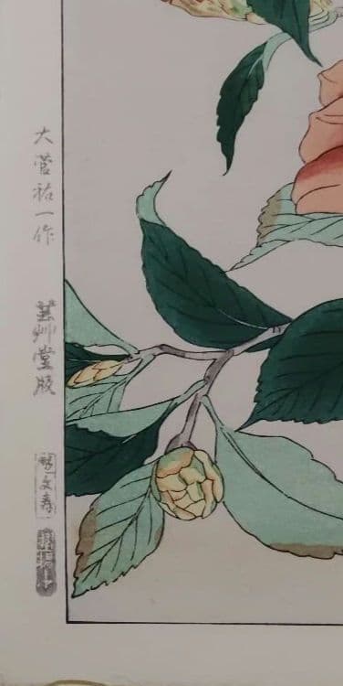 椿の花 日本画
