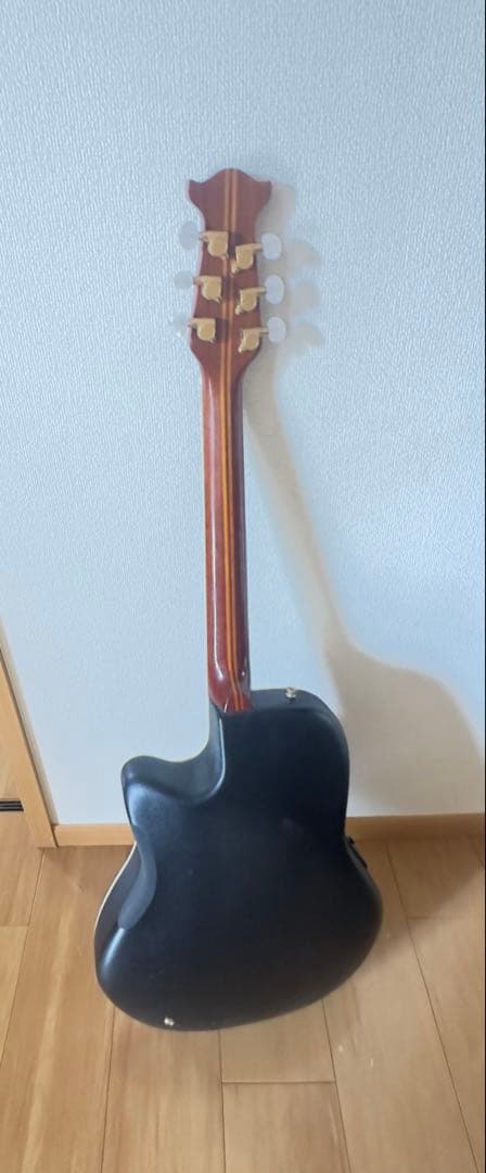 Tornado アコースティックギター 青 ギターケース付き