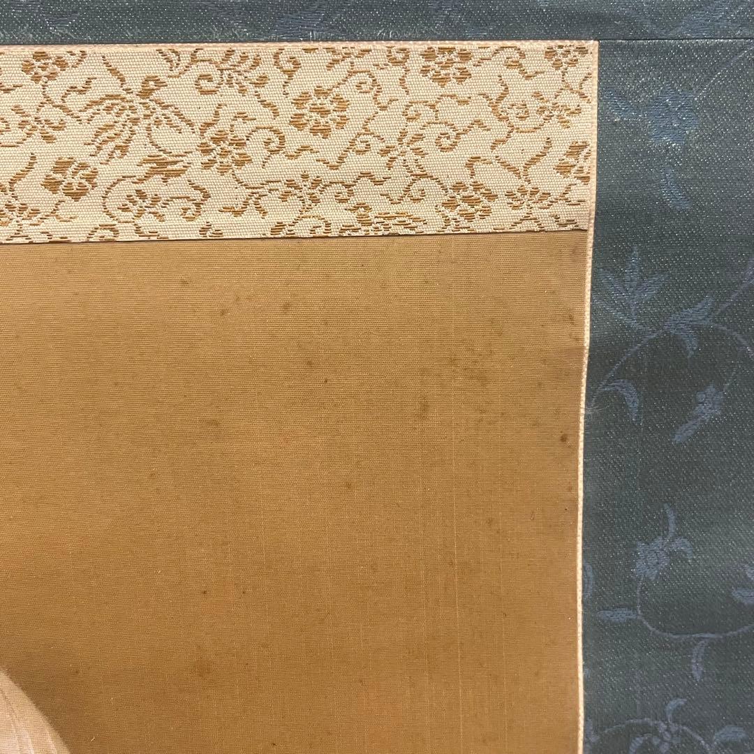金島桂華 鯉図 掛軸 日本画 共箱
