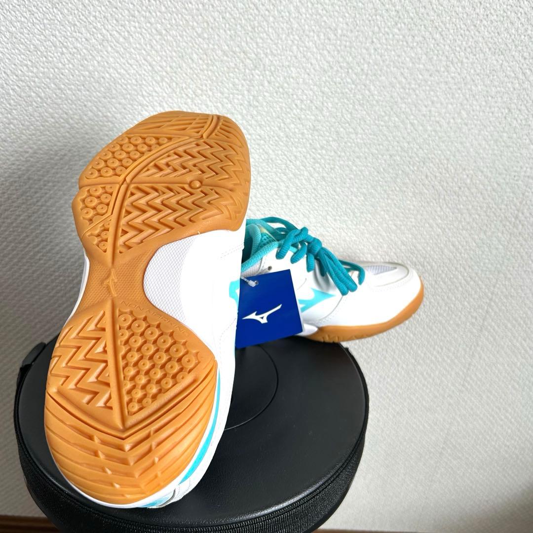 新品未使用　バドミントンシューズ24.0cm
